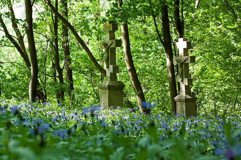 Fot. Magda Chudzik www.resfoto.pl
