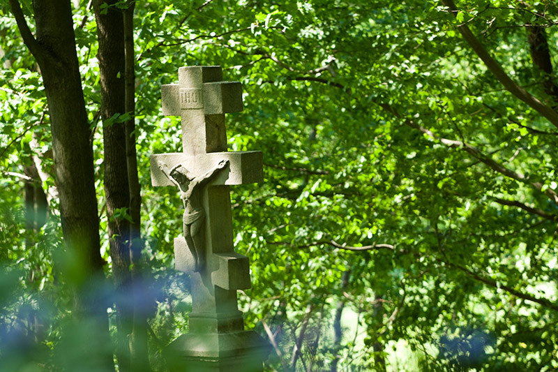 Fot. Magda Chudzik www.resfoto.pl