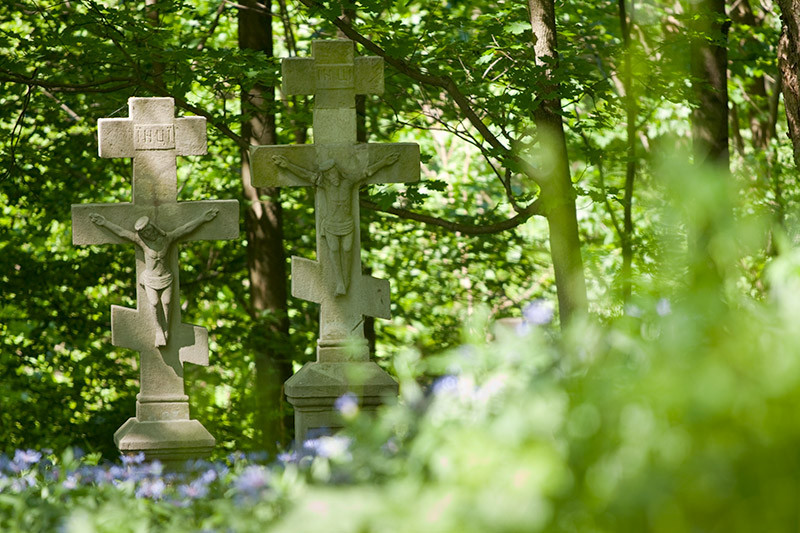 Fot. Magda Chudzik www.resfoto.pl