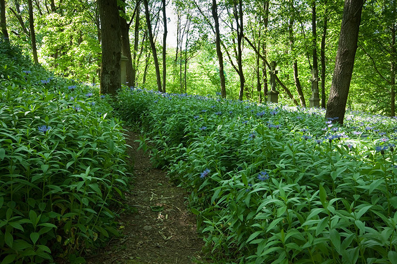 Fot. Magda Chudzik www.resfoto.pl