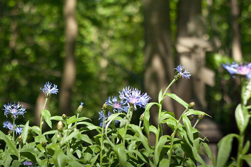 Fot. Magda Chudzik www.resfoto.pl