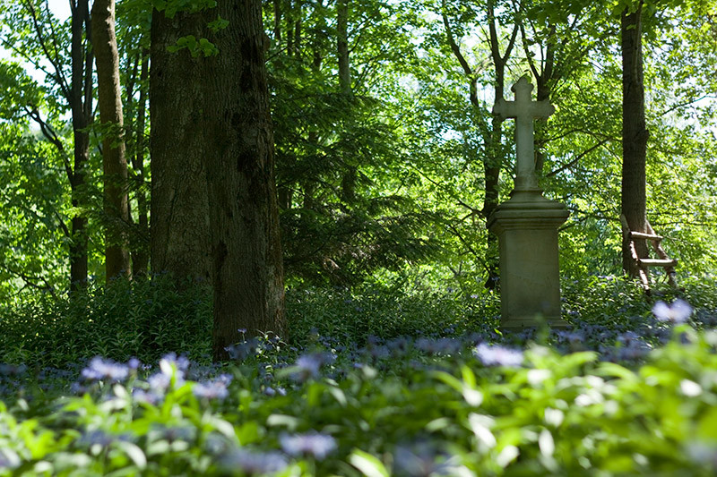 Fot. Magda Chudzik www.resfoto.pl