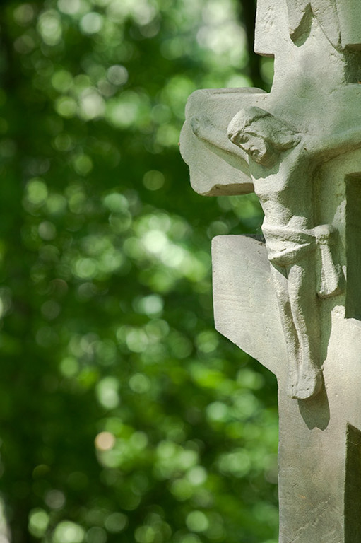 Fot. Magda Chudzik www.resfoto.pl