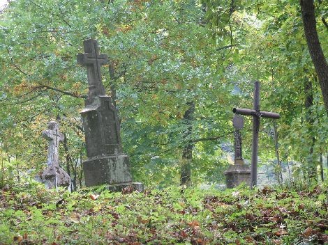 Stary, zaniedbany cmentarz greko-katolicki w Wańkowej. 2008 rok.