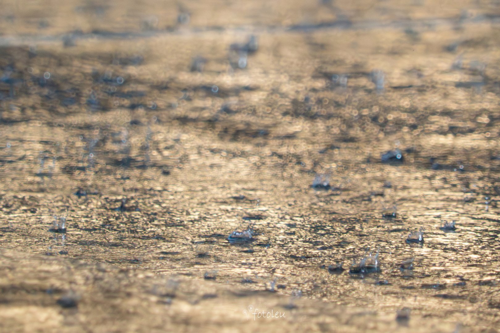 Fotoklub-Themenabend „Regen“ 