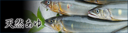 天然あゆ