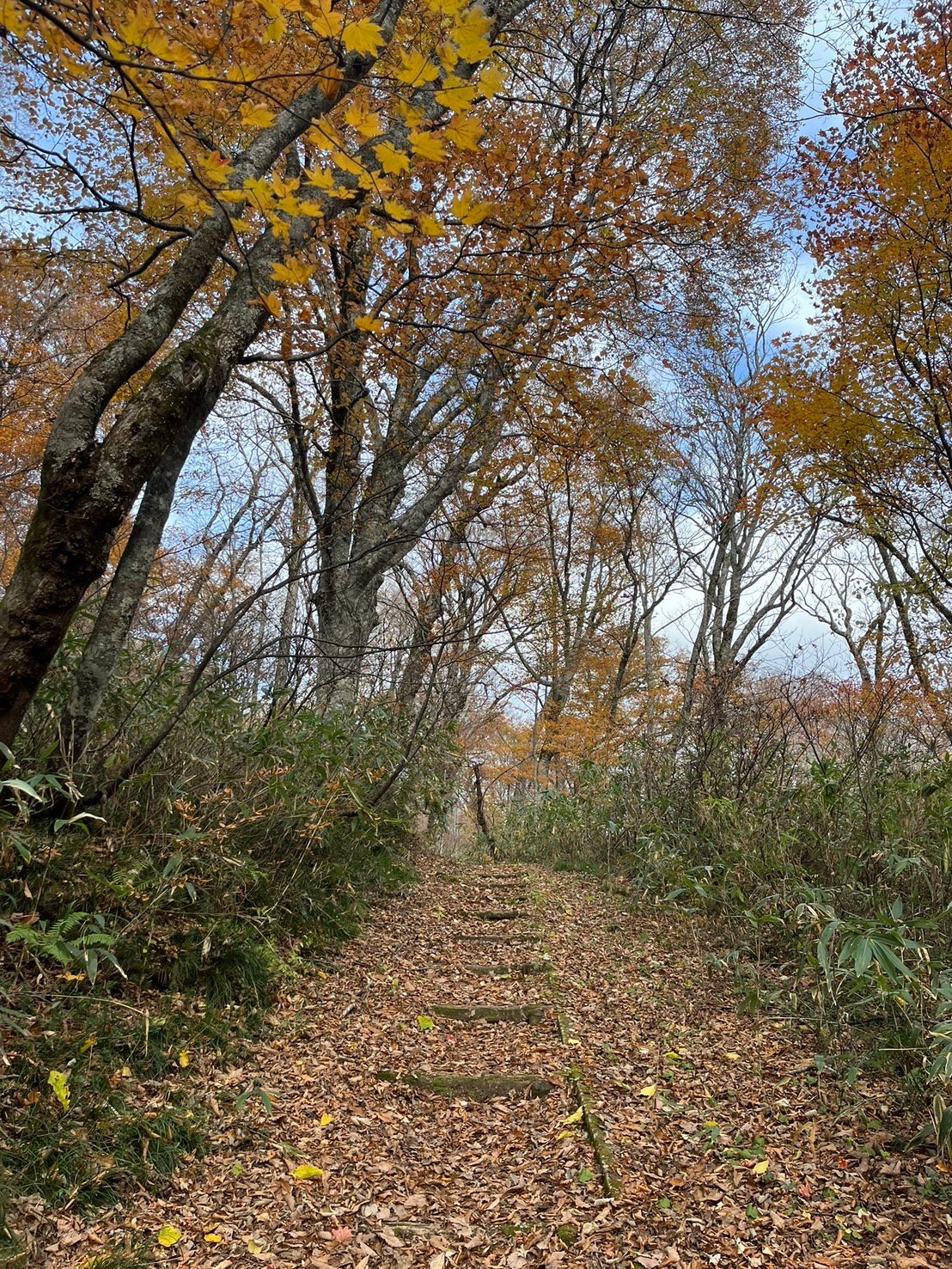 入口から15分程歩きます。