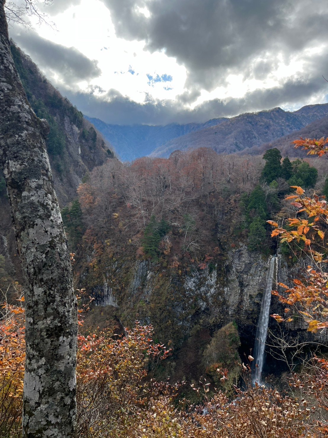 残念ながら紅葉終わってしまっていました。　