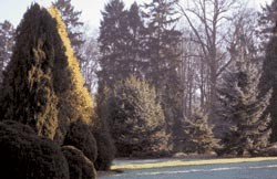 photo extraite du site 