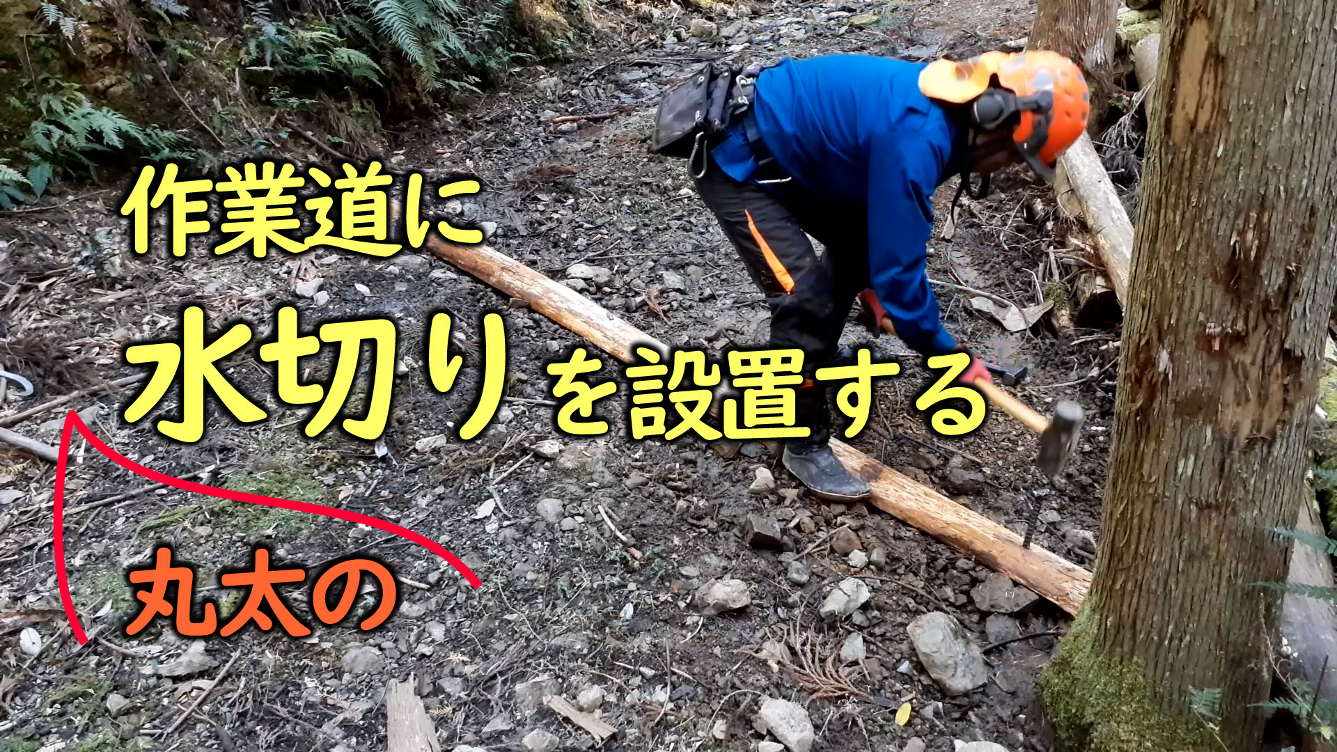 作業道に丸太の水切りを設置する