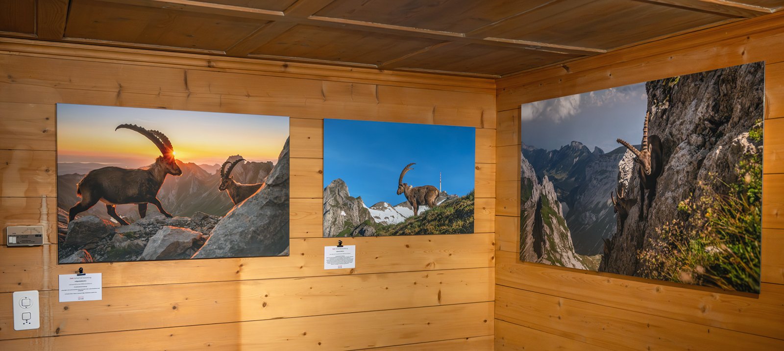 Marcel Schiegg, Drechslerei Ulmann, Ausstellung, Appenzell in der Hauptgasse
