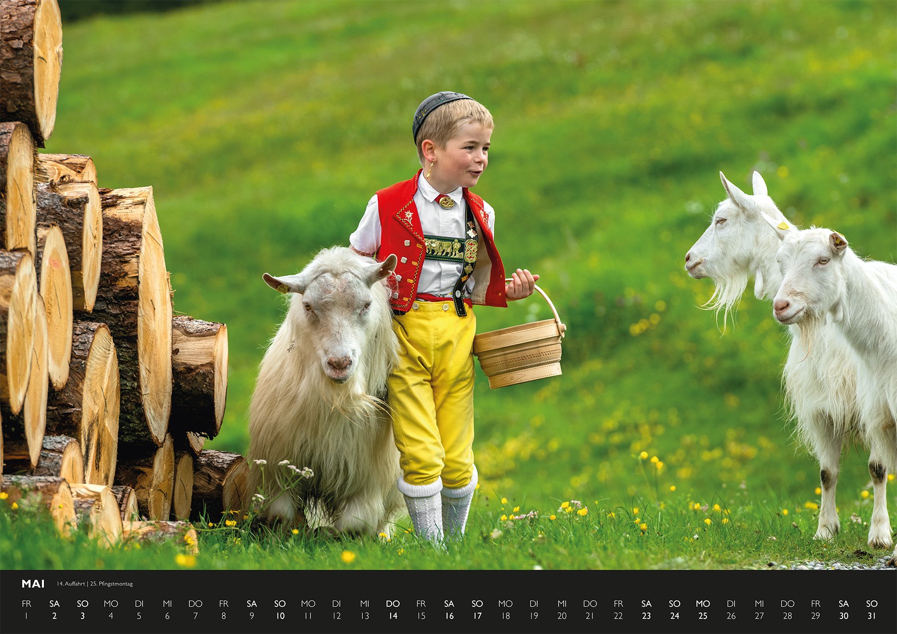 Alpsteinkalender
