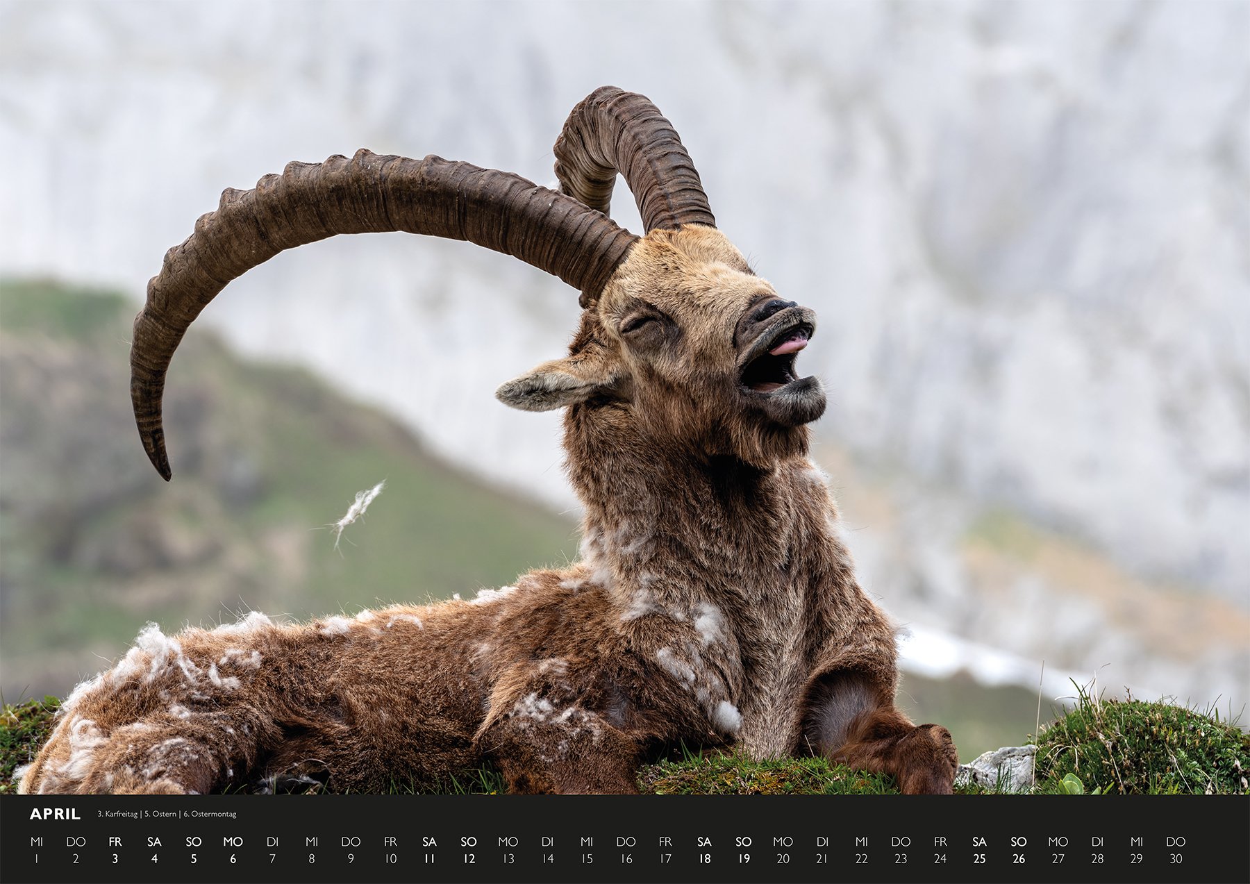 Alpsteinkalender