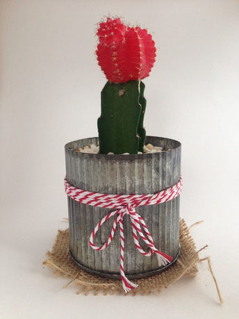 iPhoneで撮影／撮影ボックス有