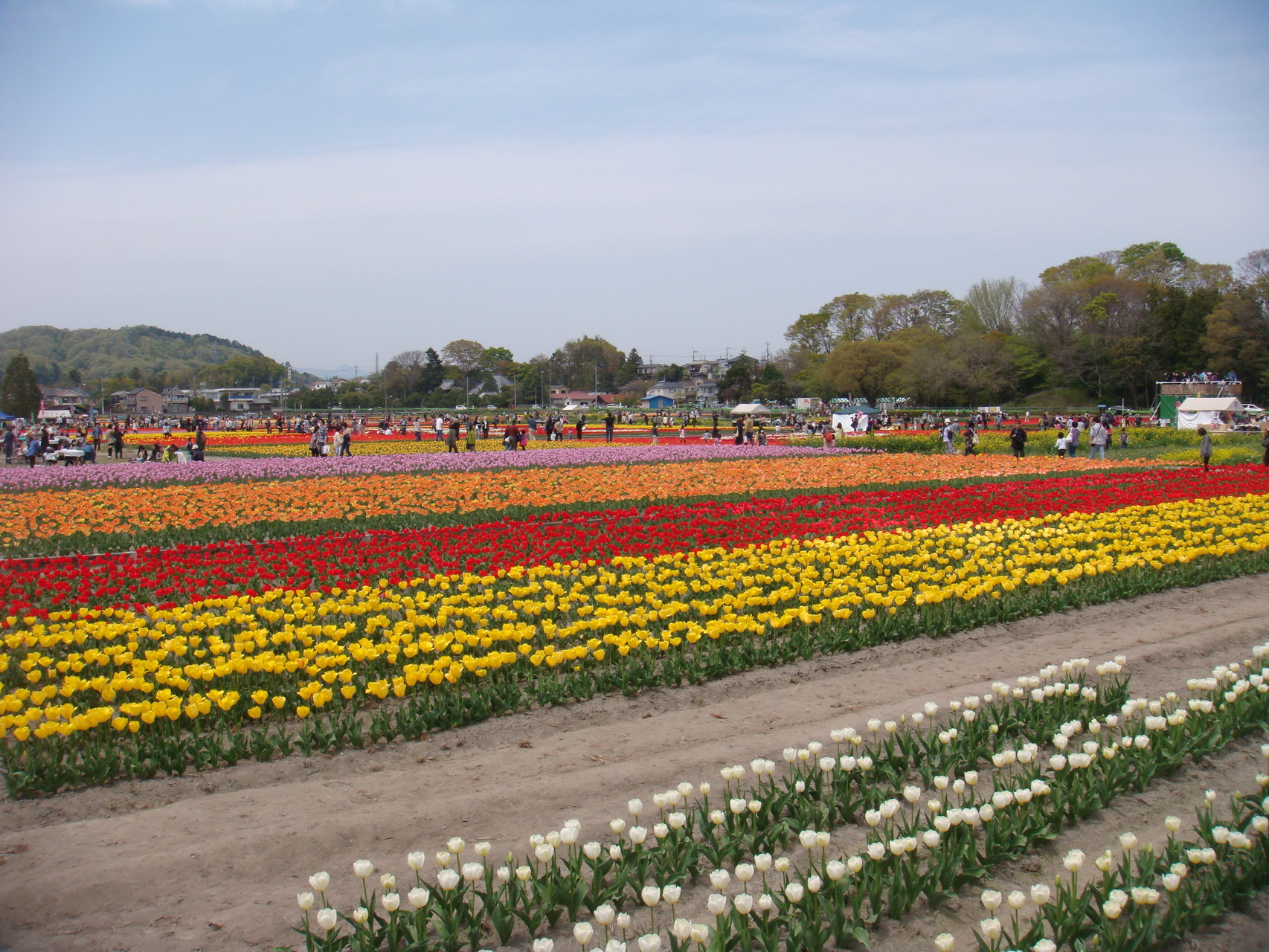 もみ付き玄米精米できません - 店頭精米の店 中村販売所ページ！
