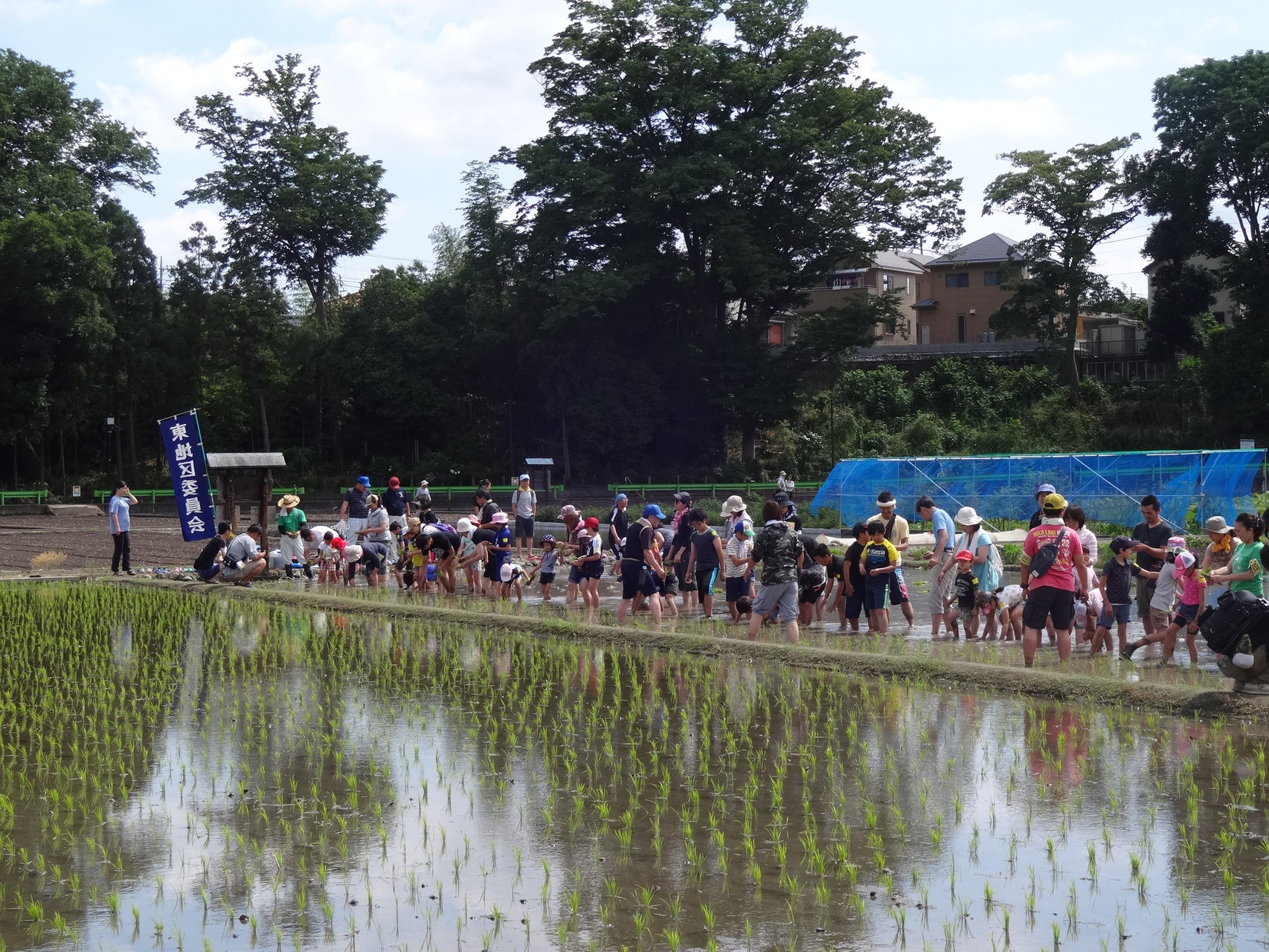 もみ付き玄米精米できません - 店頭精米の店 中村販売所ページ！