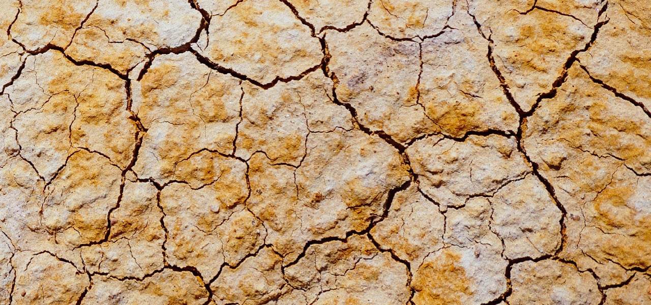 Learn about drought, water conservation and best practices, and our Communication Plan for Low Flows in the Nicola watershed.