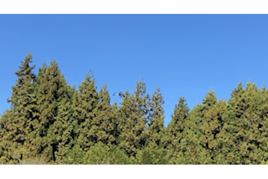 その後高度100メートルまで上昇・・・