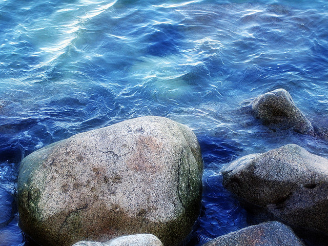 CC BY-NC-ND 2.0 by Lisa Ruokis