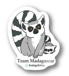 番組キャラクターには“キツネザル”を採用