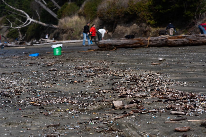 解決困難な海洋プラスチック汚染　未来の科学者はこの時代を「プラスチセン」と呼ぶ！