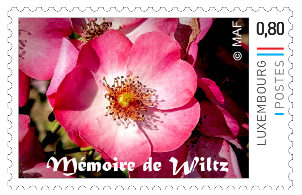 Briefmarke, einzeln, selbstklebend