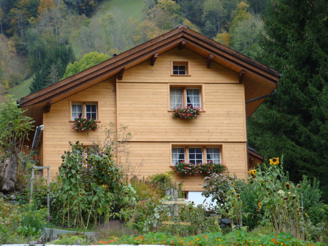 Fassade Einfamilienhaus neu, Engi
