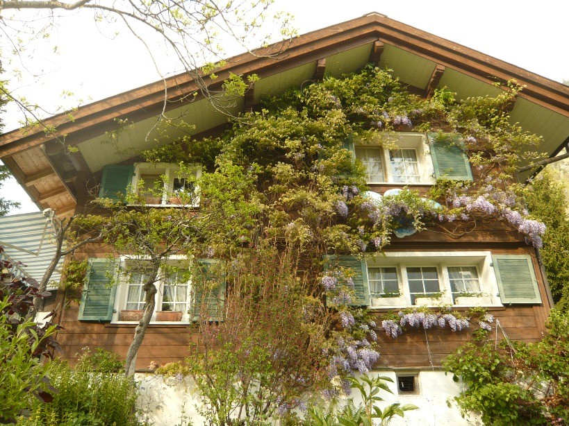 Fassade Einfamilienhaus vorher, Engi