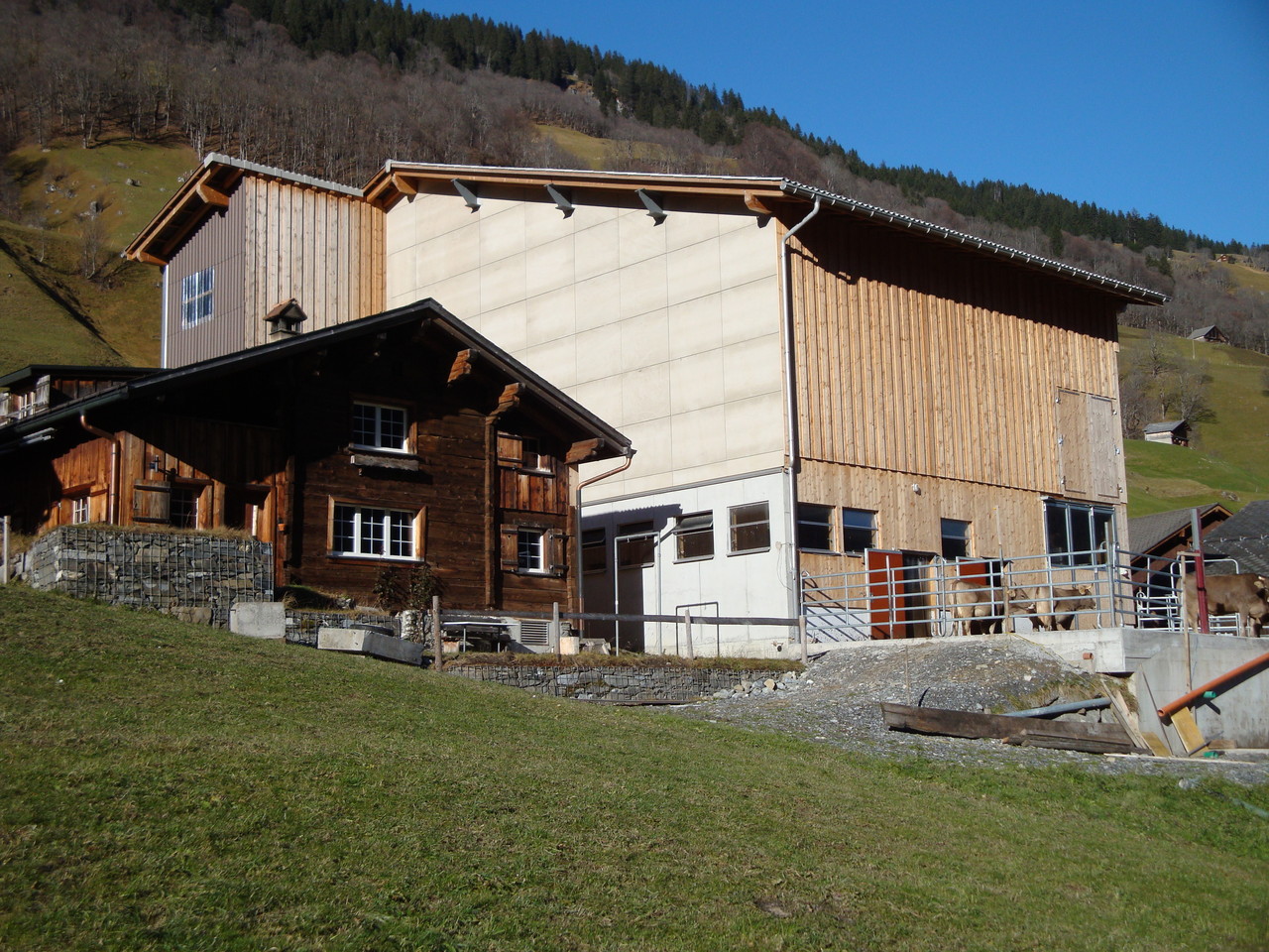 Stallneubau Elm 2011