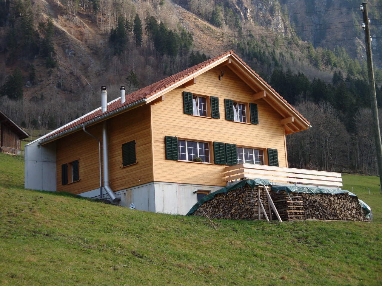 Neubau Einfamilienhaus, Linthal