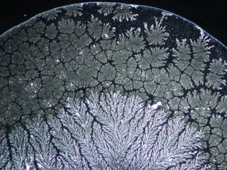 Wasserstudio-Bodensee