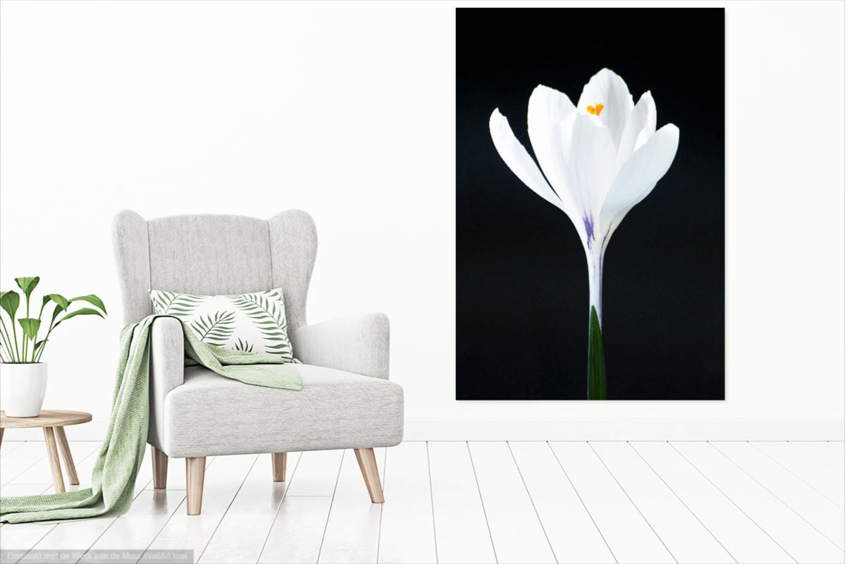 WerkaandeMuur-Ontluiken