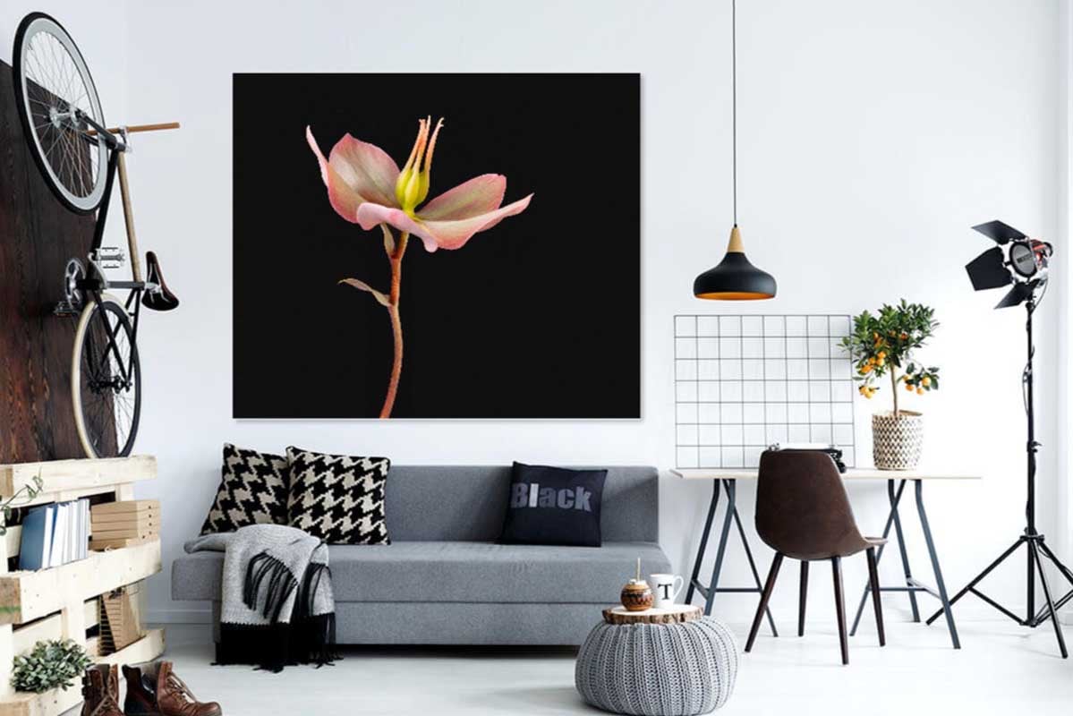 WerkaandeMuur-Opgeheven hoofd