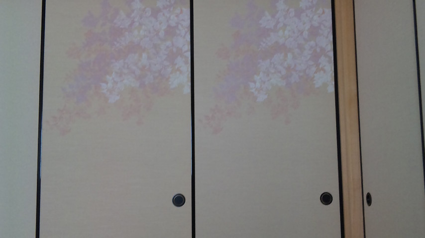 ブーゲンビリアの花