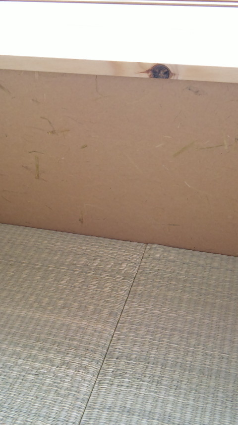 壁ともマッチしています。