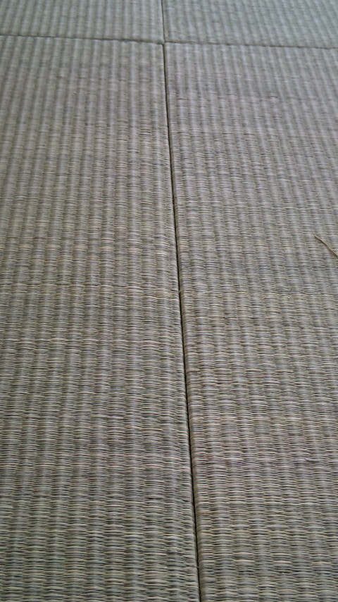 こんな感じの風合いです。