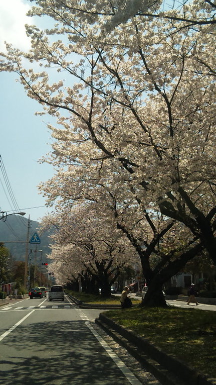 街がはなやかになります。