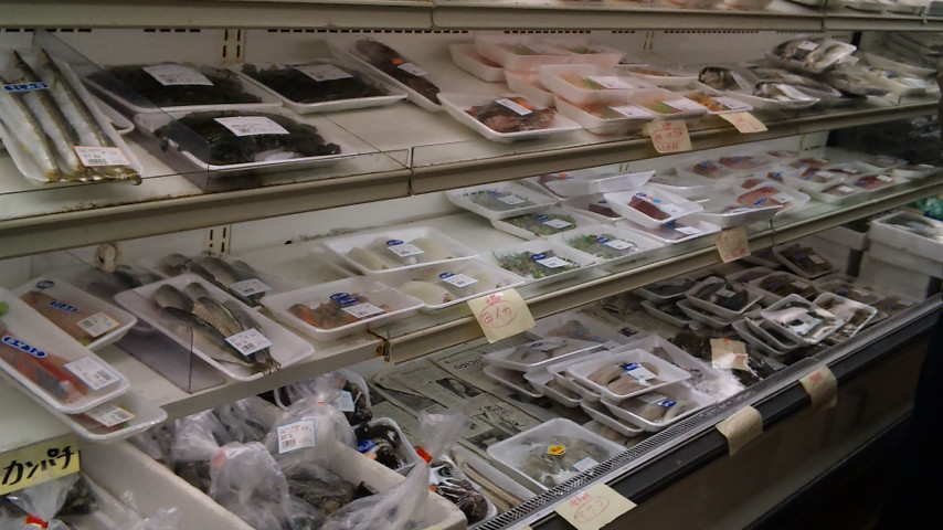 とれたて、豊前海の鮮魚