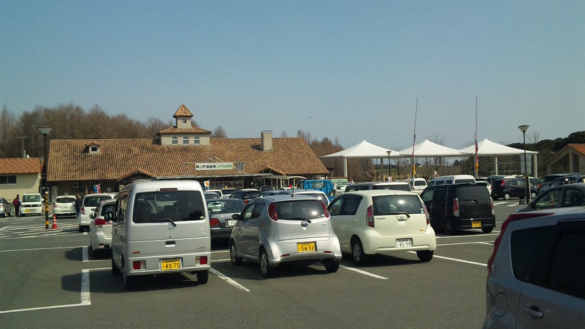 メタセの森　駐車場いっぱいです。