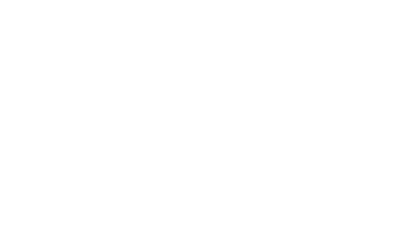 kavallerieverein-zurzachs Webseite!