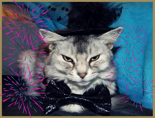 Silvester Glücksritual