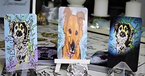 Lenormandkarte der Hund verschiedene Lenormandkartendecks