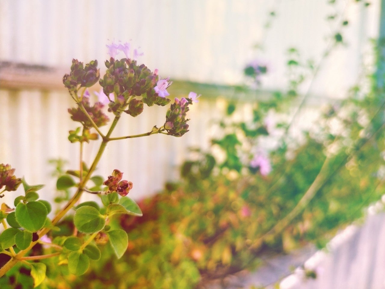 AEDPカンファレンス2025「In It Together」が終わりました