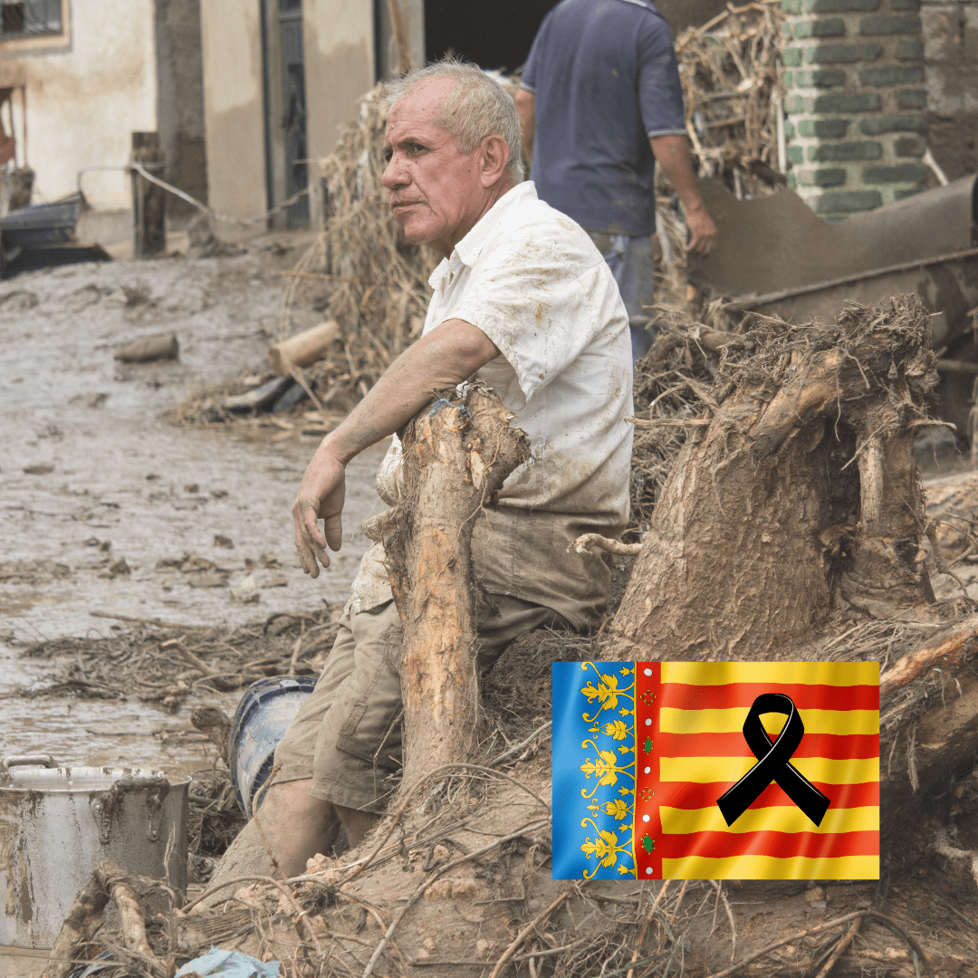 El papel vital de la traducción en los esfuerzos de ayuda humanitaria