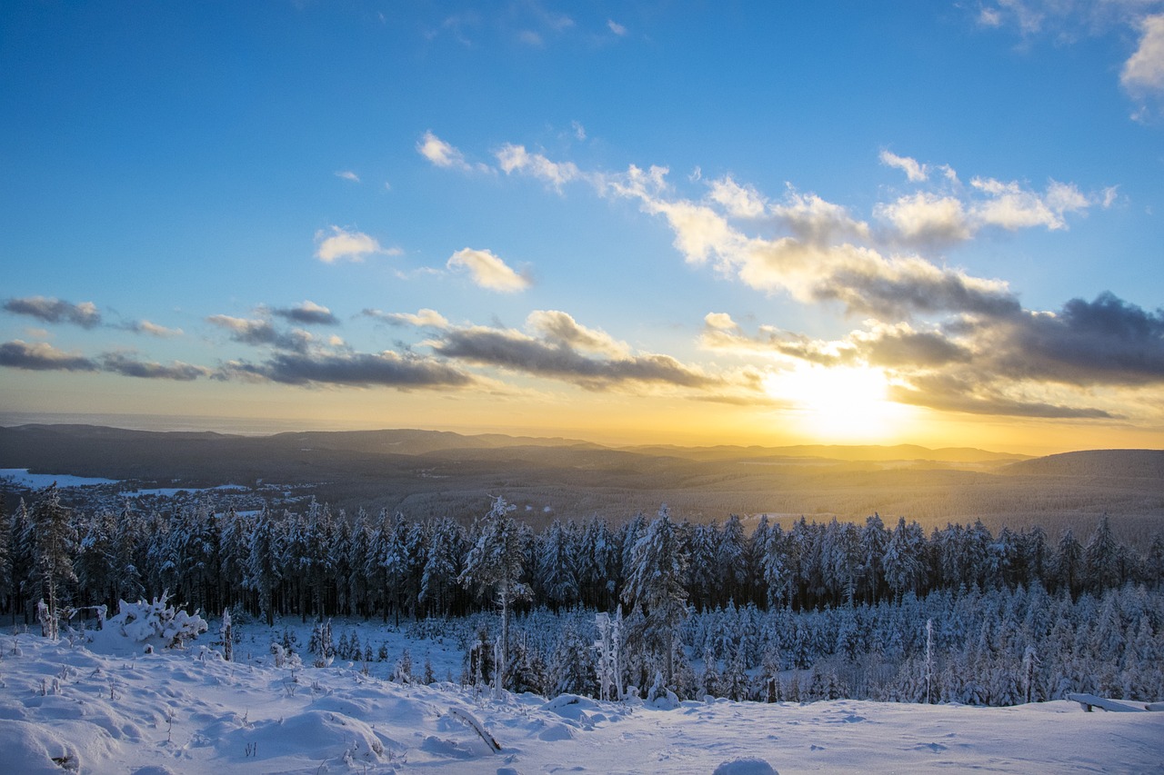 Harz-Chalet in Braunlage mieten