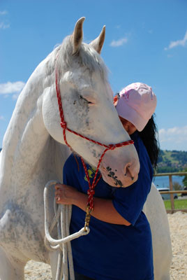 Fotos von www.aufaugenhoehe.ch