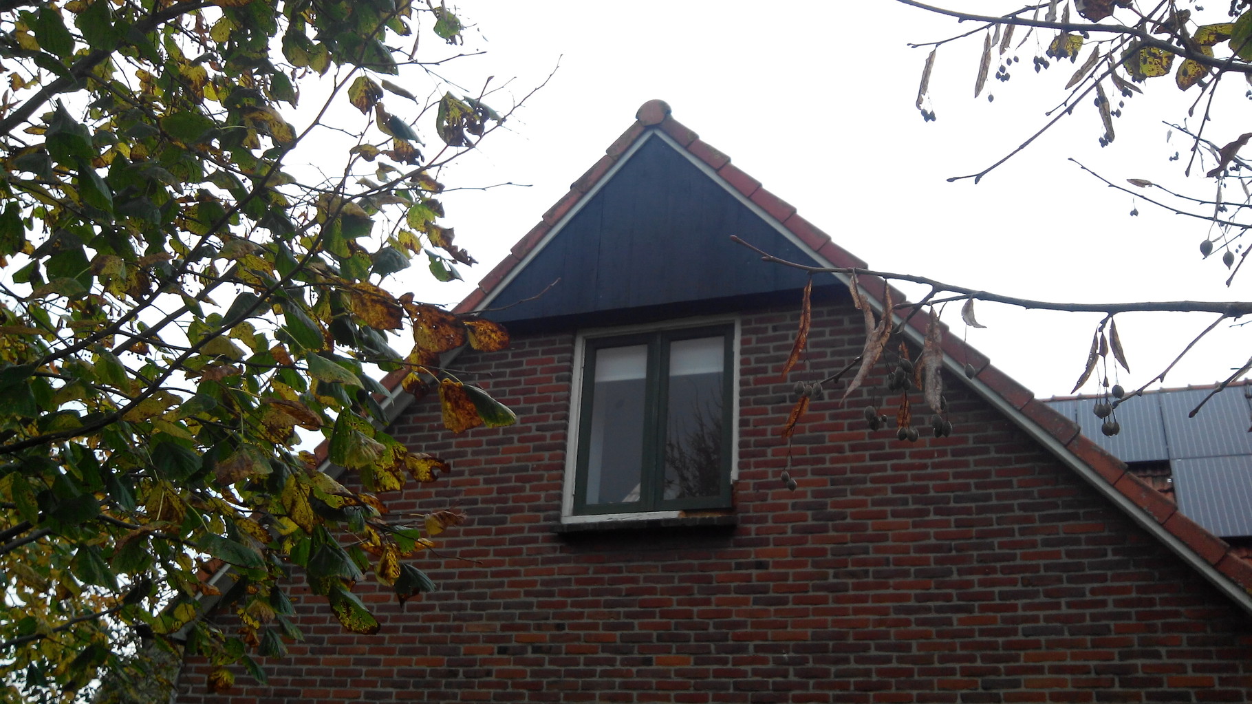 Op maat gemaakte vleermuiskraamkast