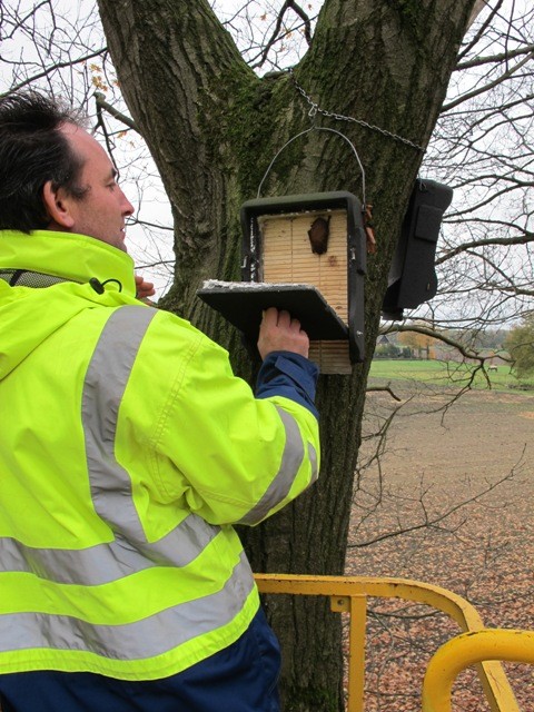 Controle van voor compensatie opgehangen vleermuiskasten 