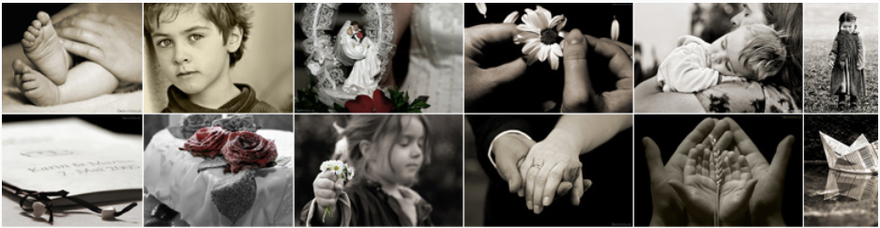 Peyer Wildberger Familienstiftung