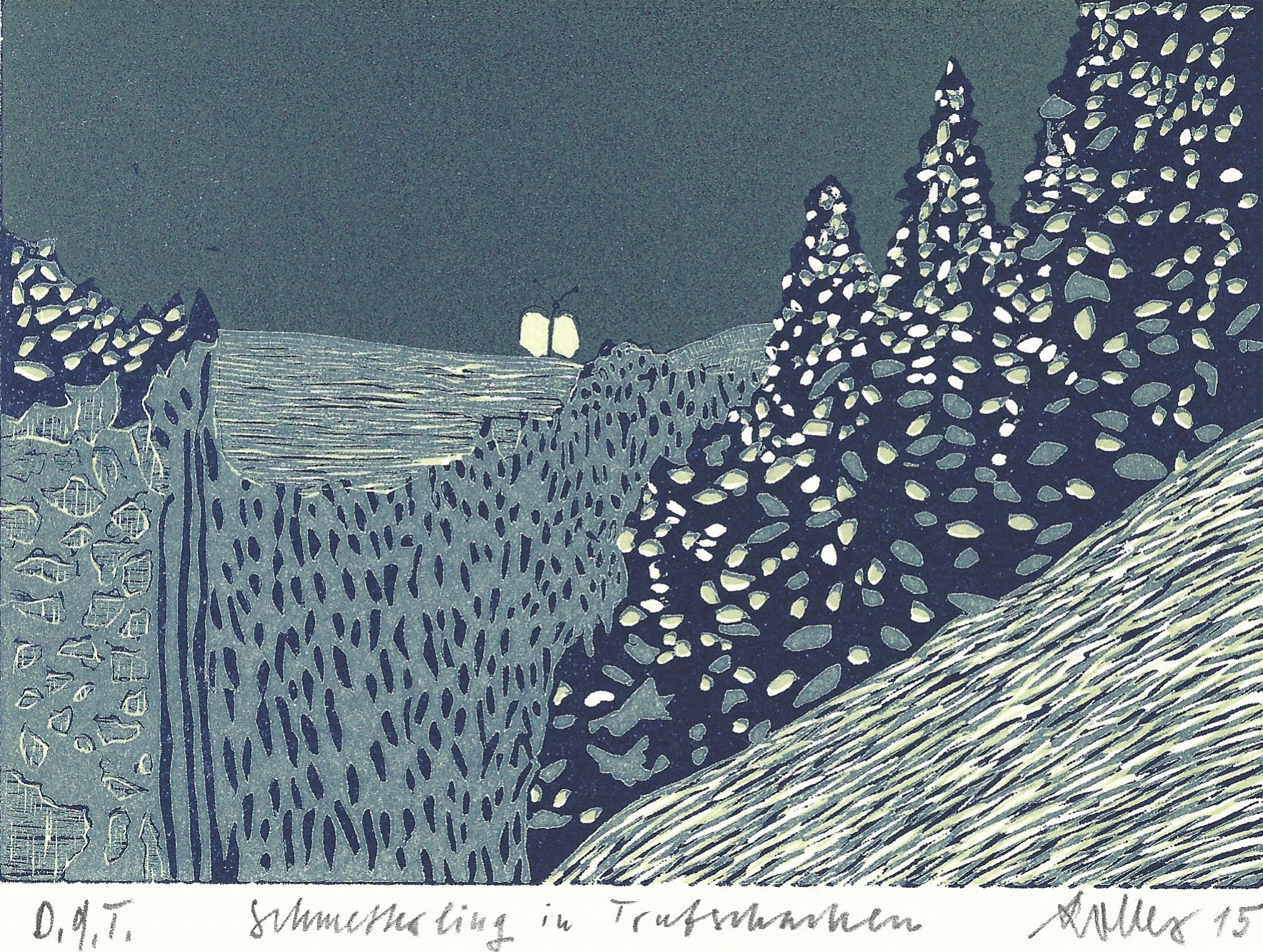 Schmetterling in Trubschachen, 2015